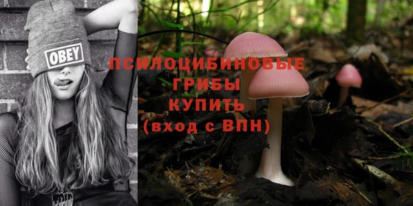 2c-b Абинск