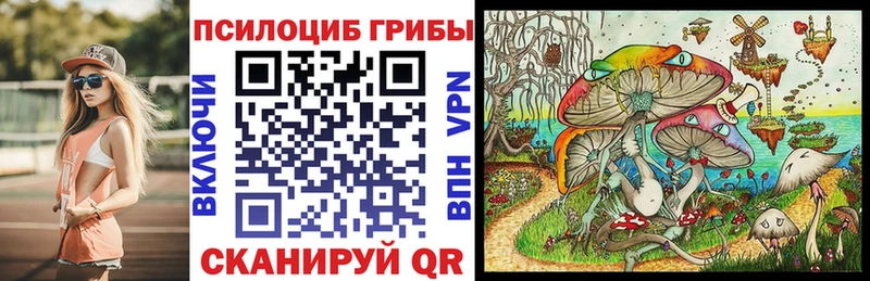 mega маркетплейс Яранск Псилоцибиновые грибы ЛСД где купить наркоту