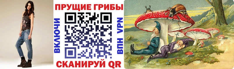 Псилоцибиновые грибы Psilocybe Яранск