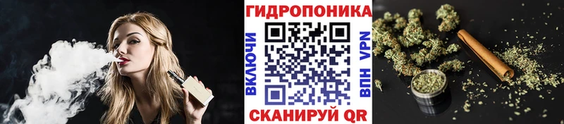 как найти закладки  Яранск  omg рабочий сайт  Бошки Шишки LSD WEED 